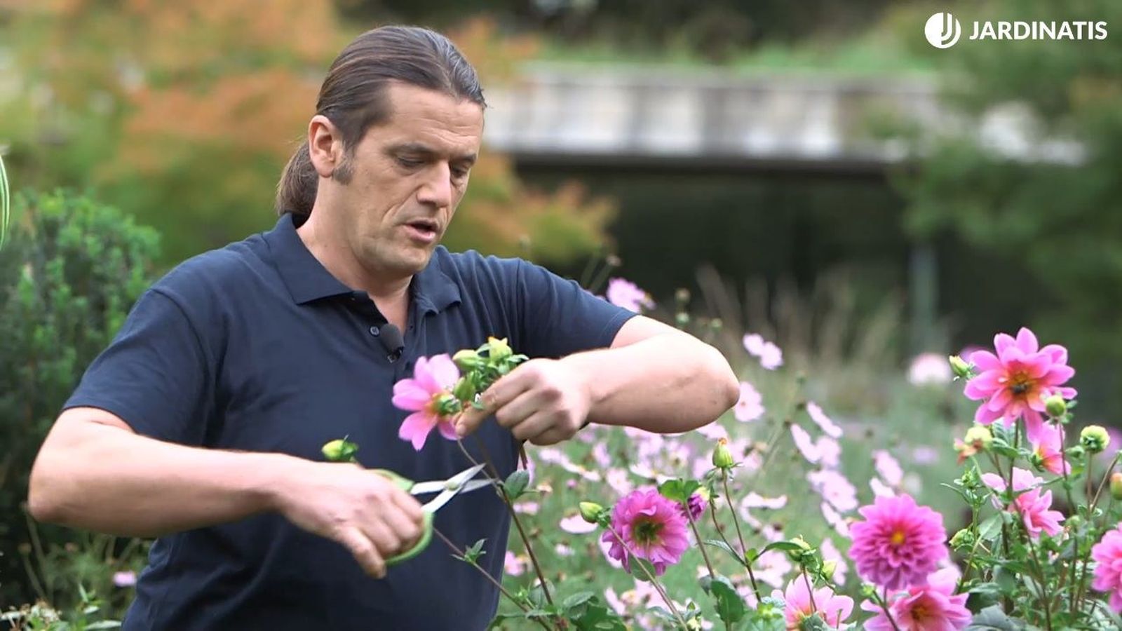 Descabezado floral o cómo prolongar la floración