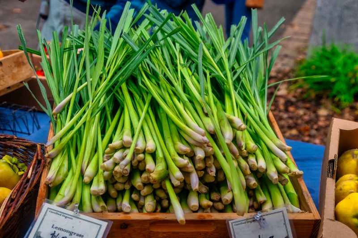 Tallos de la hierba limón en supermercado