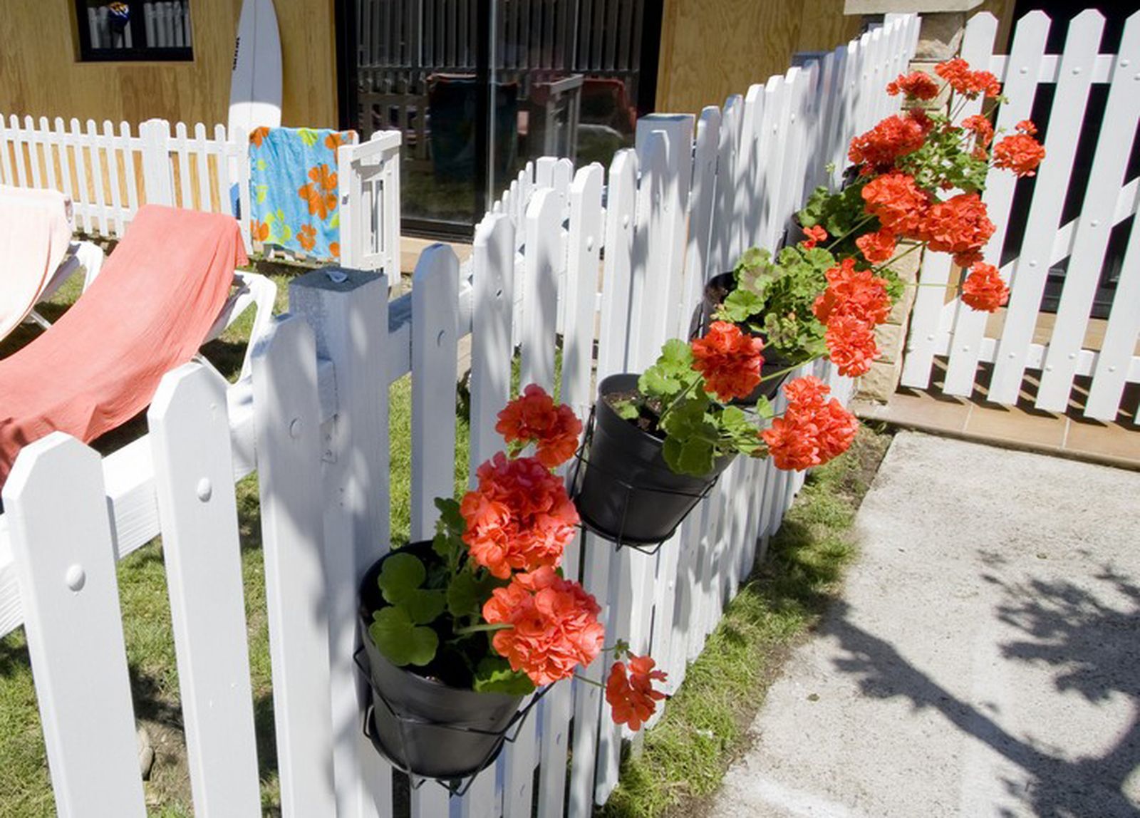 Plantación de geranios para la pared