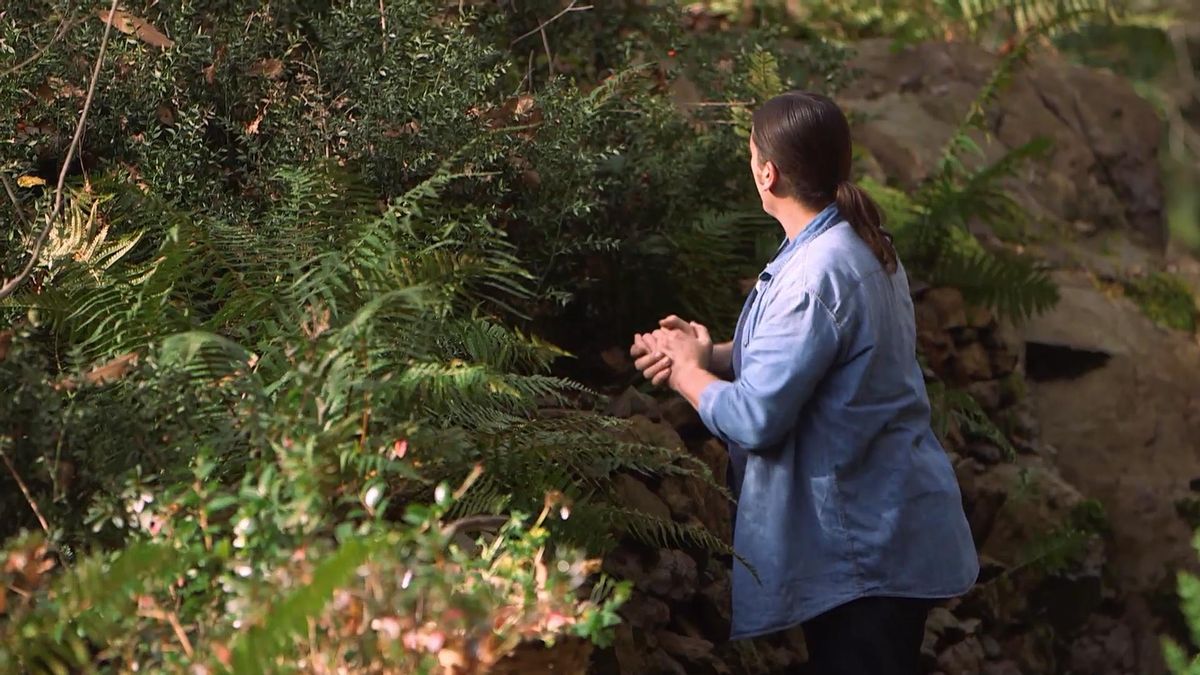 975 jardineria rusco aculeatus