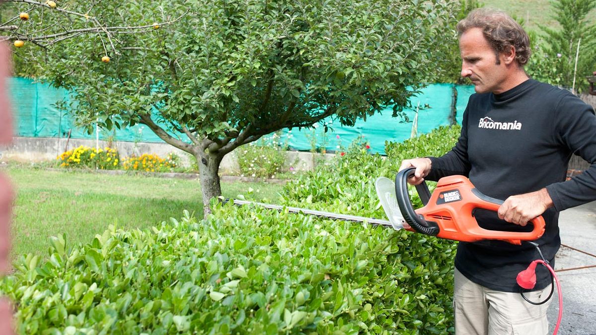 Bricomania 712 Alargadores electricos p6