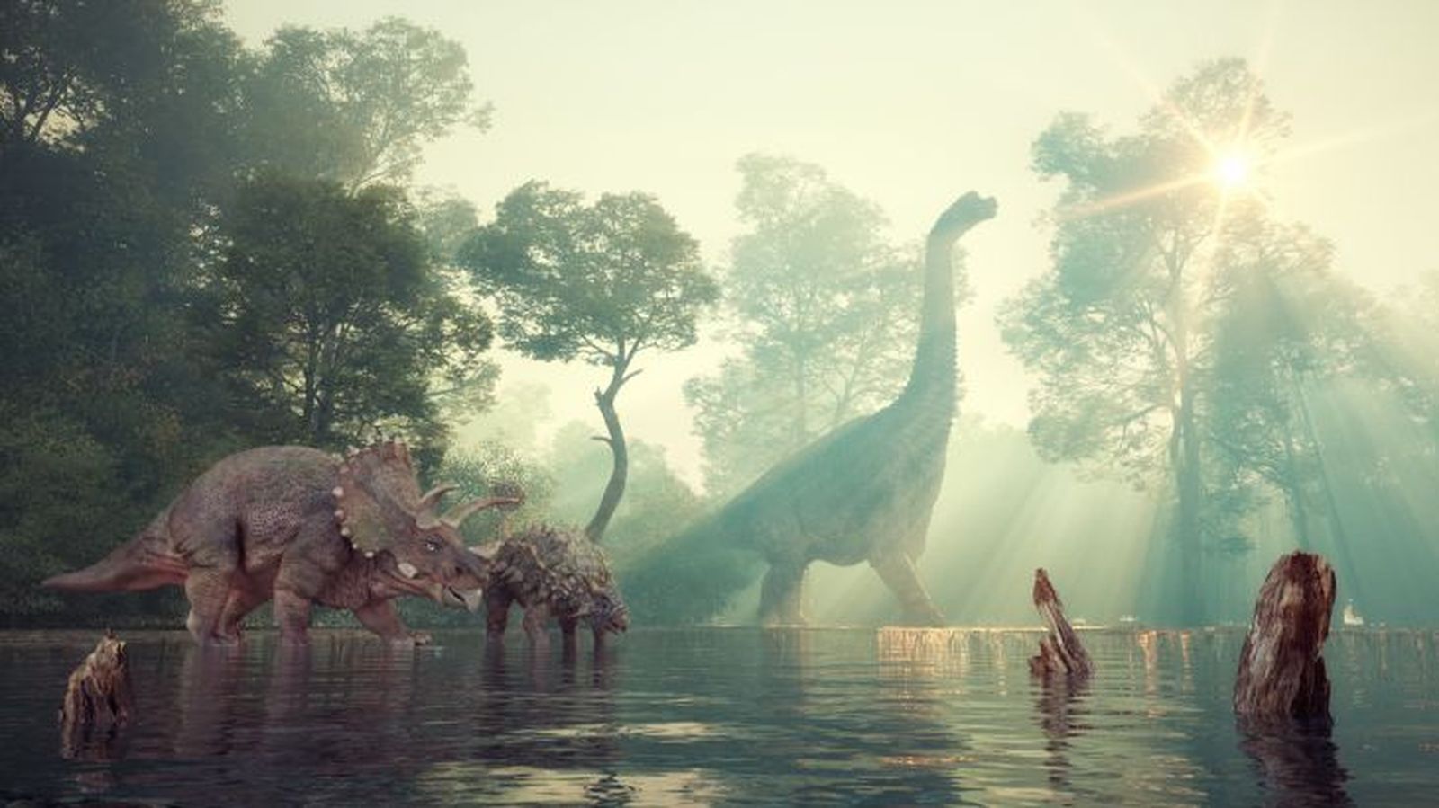 como eran los dinosaurios 15
