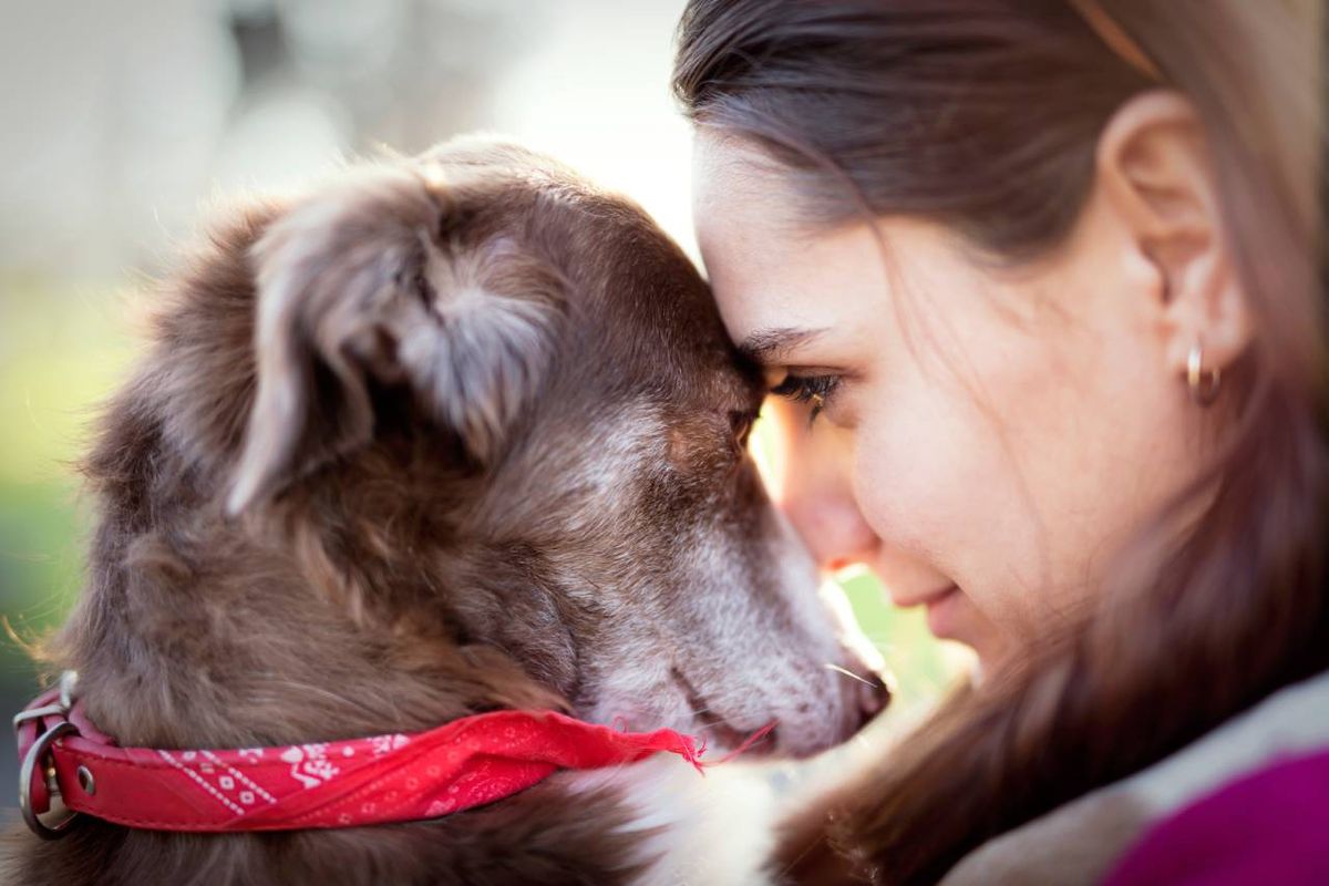 Son muchos los errores que puedes cometer si tienes un perro como mascota