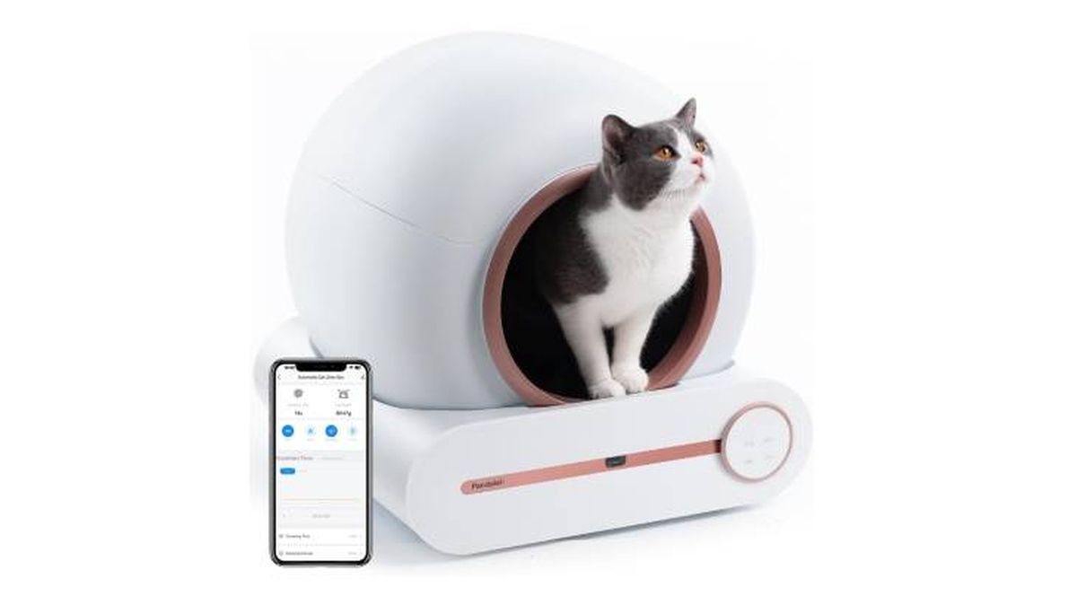 arenero autolimpiable bamboosang amazon