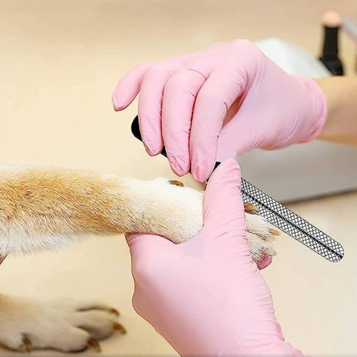 lima de unas manual para perros y gatos