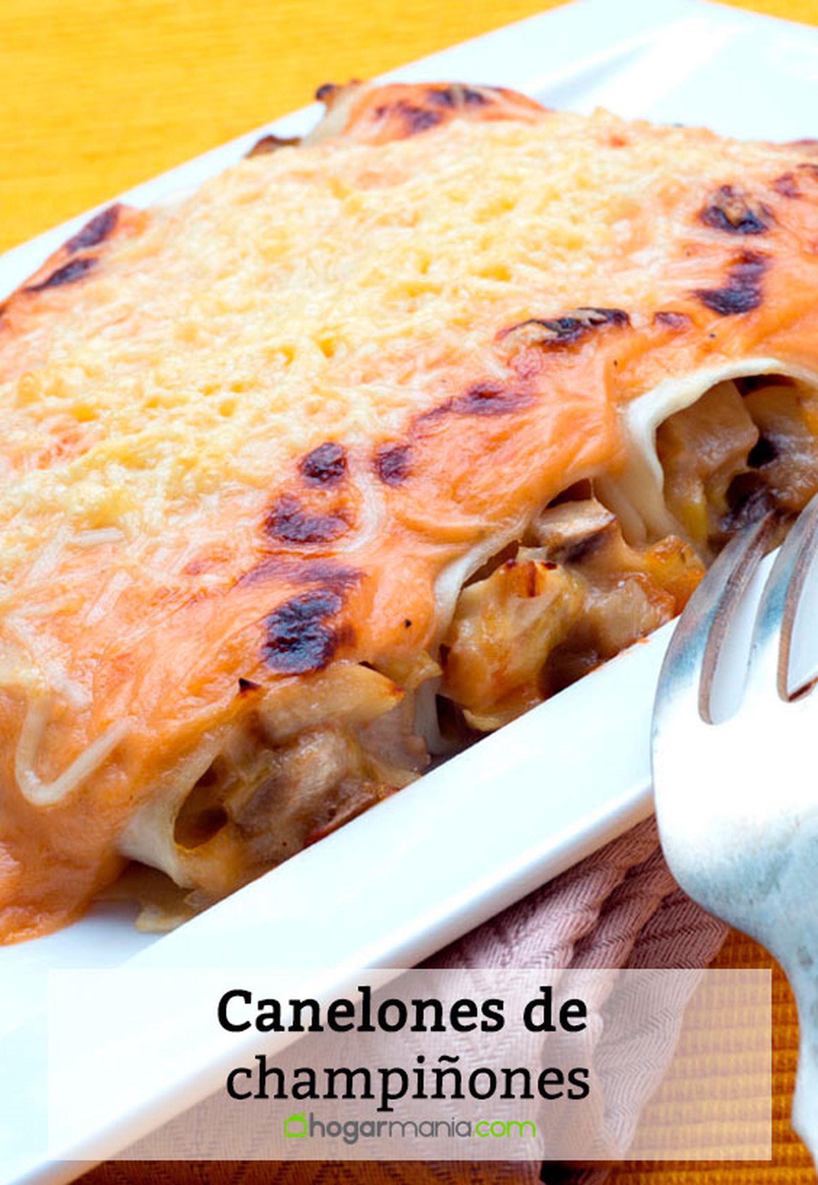 canelones champinones pin
