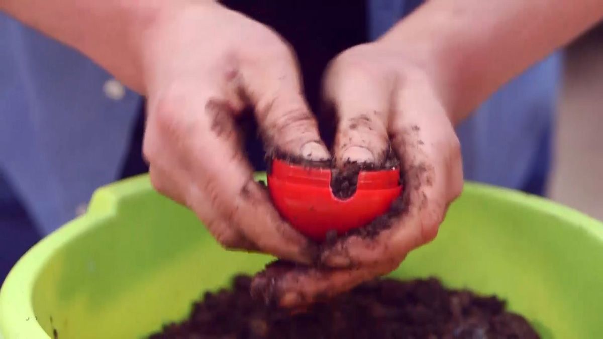 brico 945 3 capsulas enraizamiento paso 4