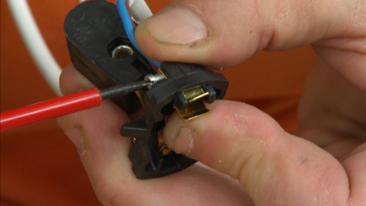 Lámpara silvestre paso 8