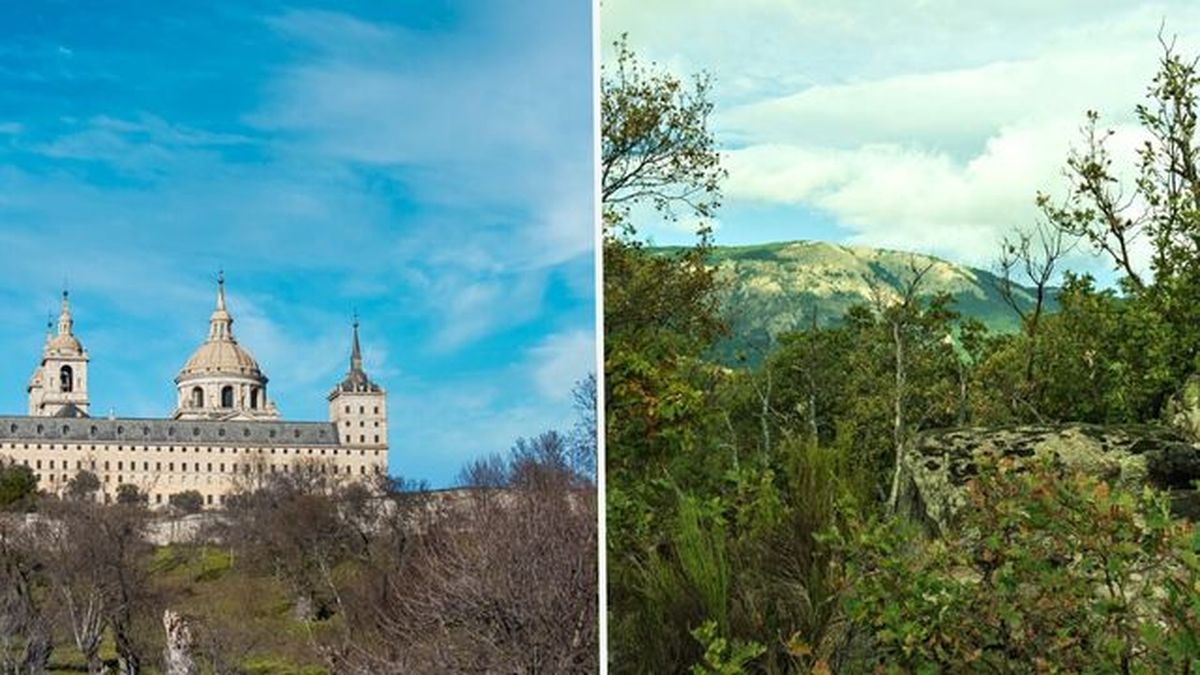 Bosque de herreria mas bonito espana