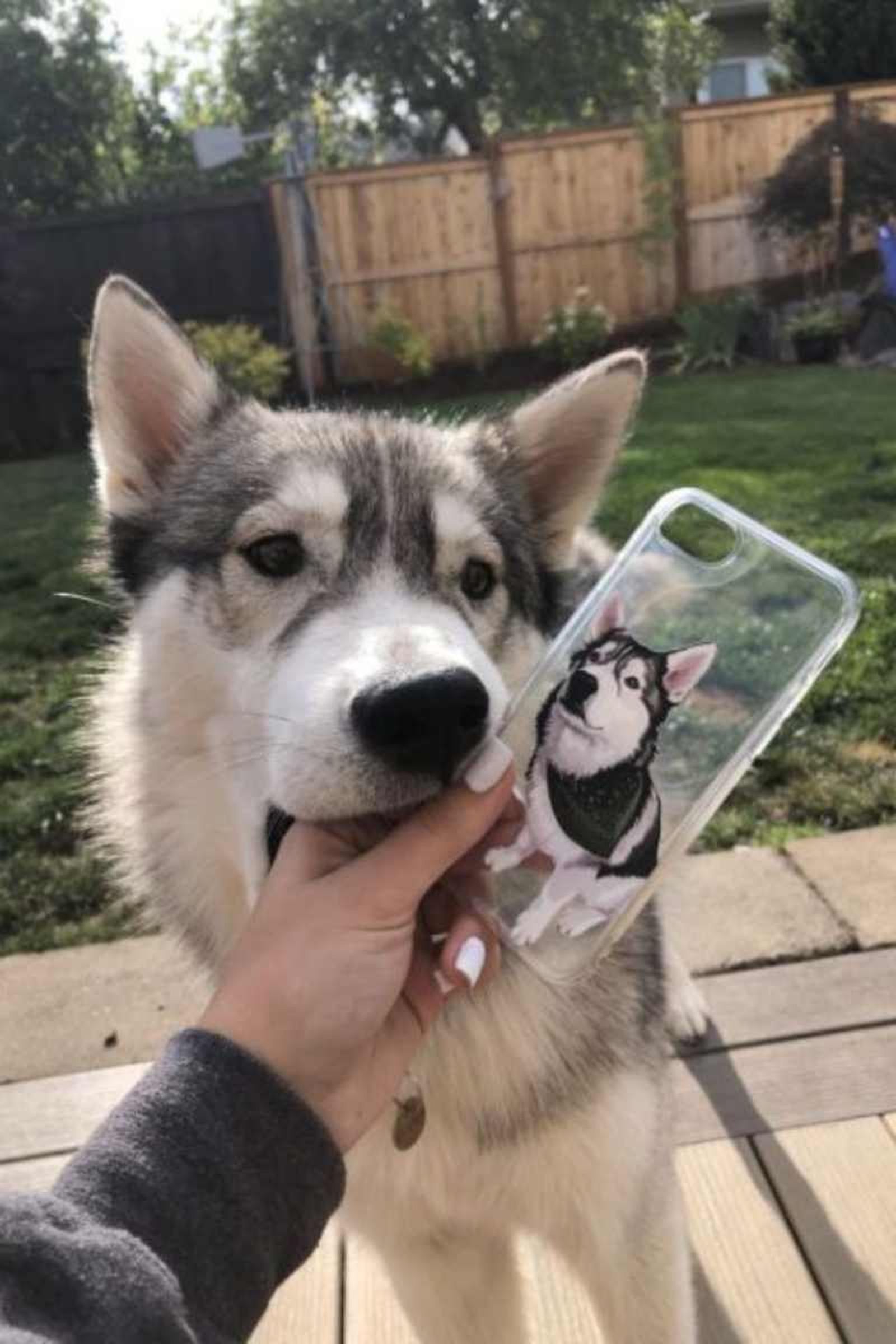 Personalización de objetos con la imagen de tu mascota