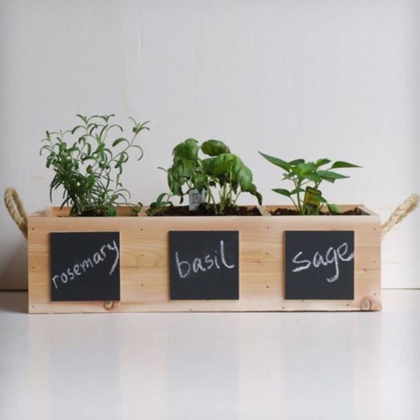 reciclar cajas de vino aromaticas