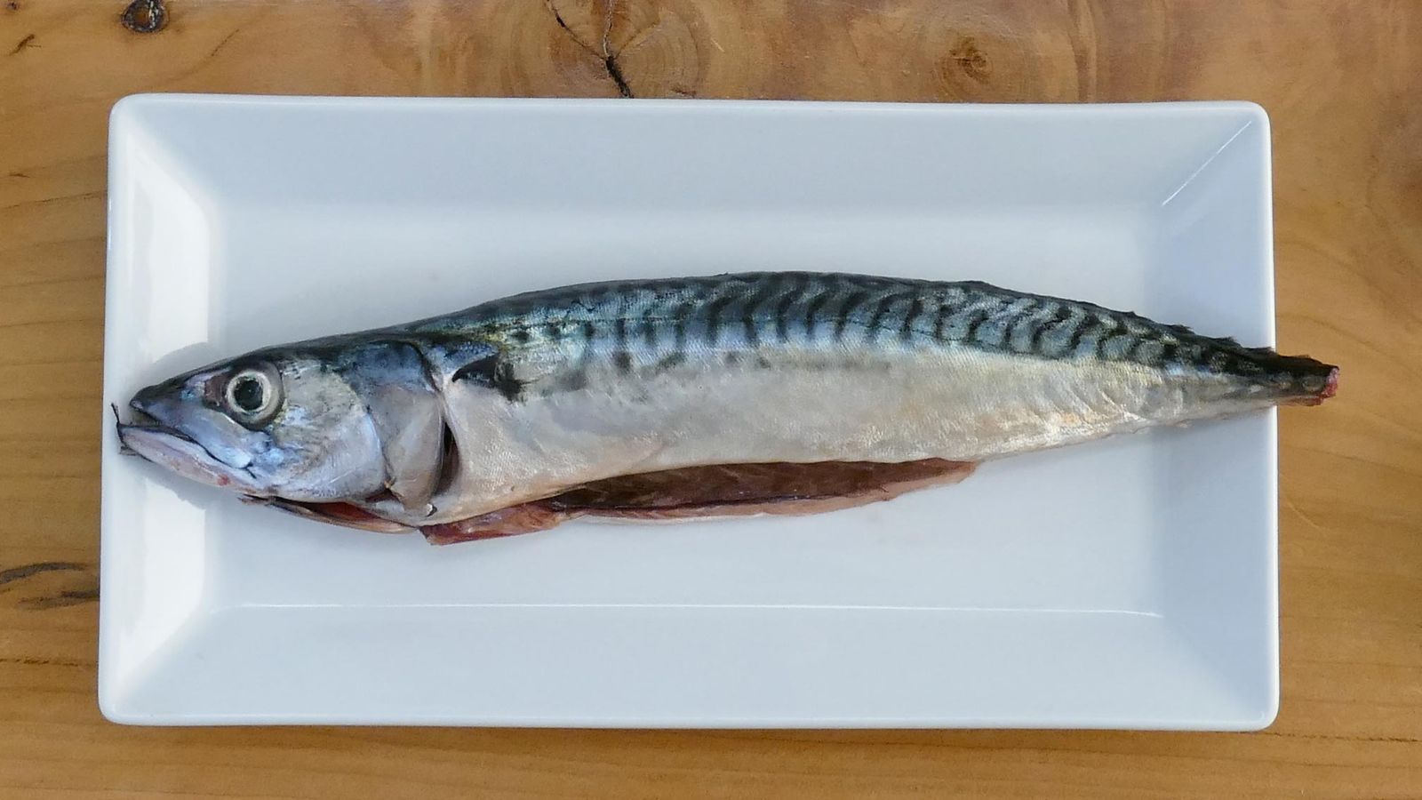 Cómo limpiar caballa o verdel   Pescado