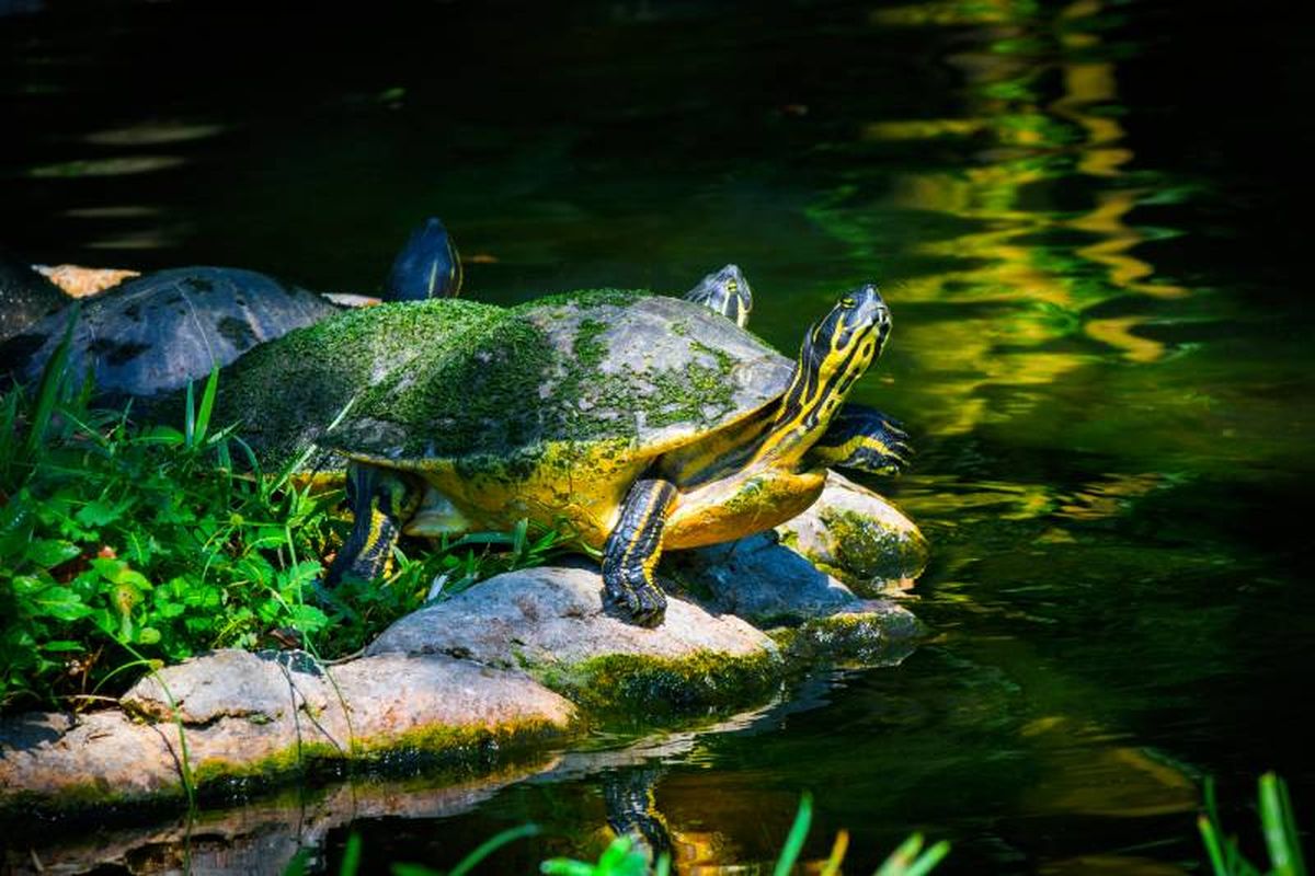 Una exposición prolongada y habitual también puede tener consecuencias negativas.
