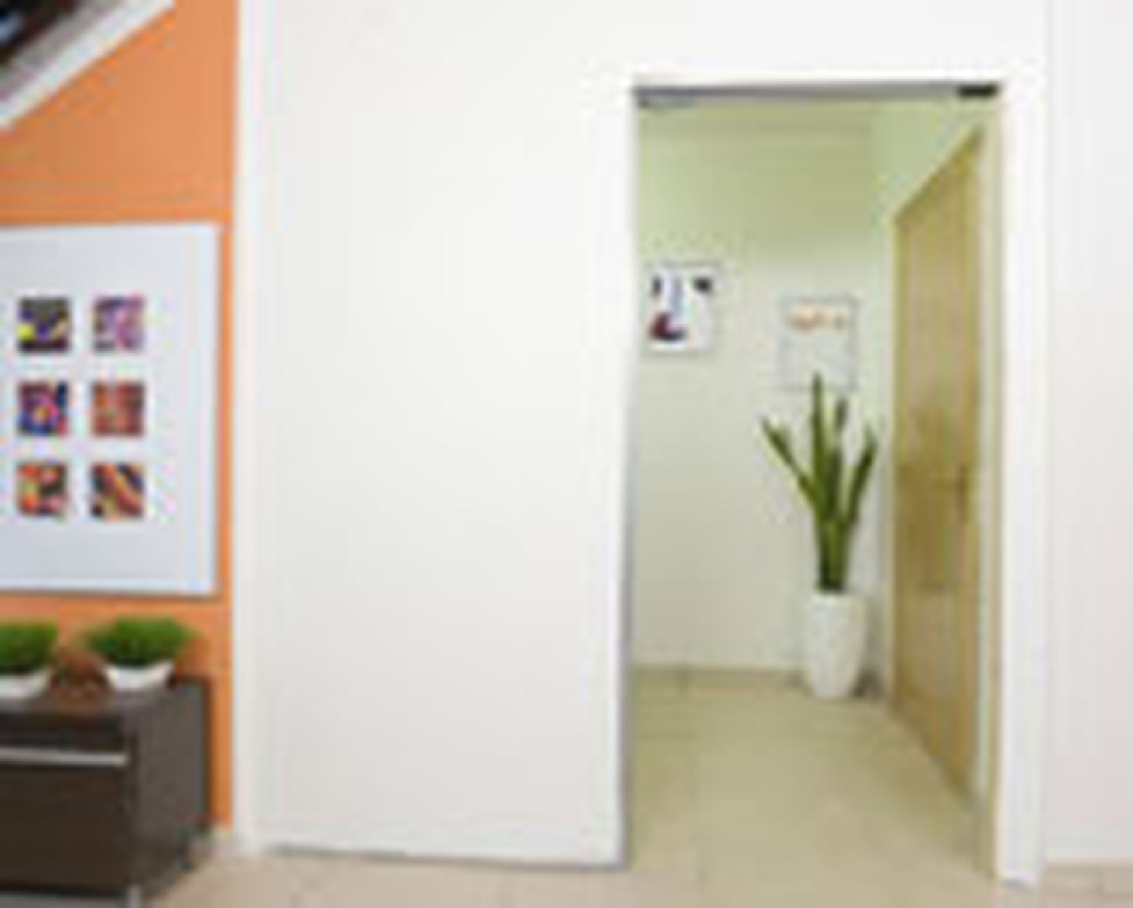 tabique puerta 21