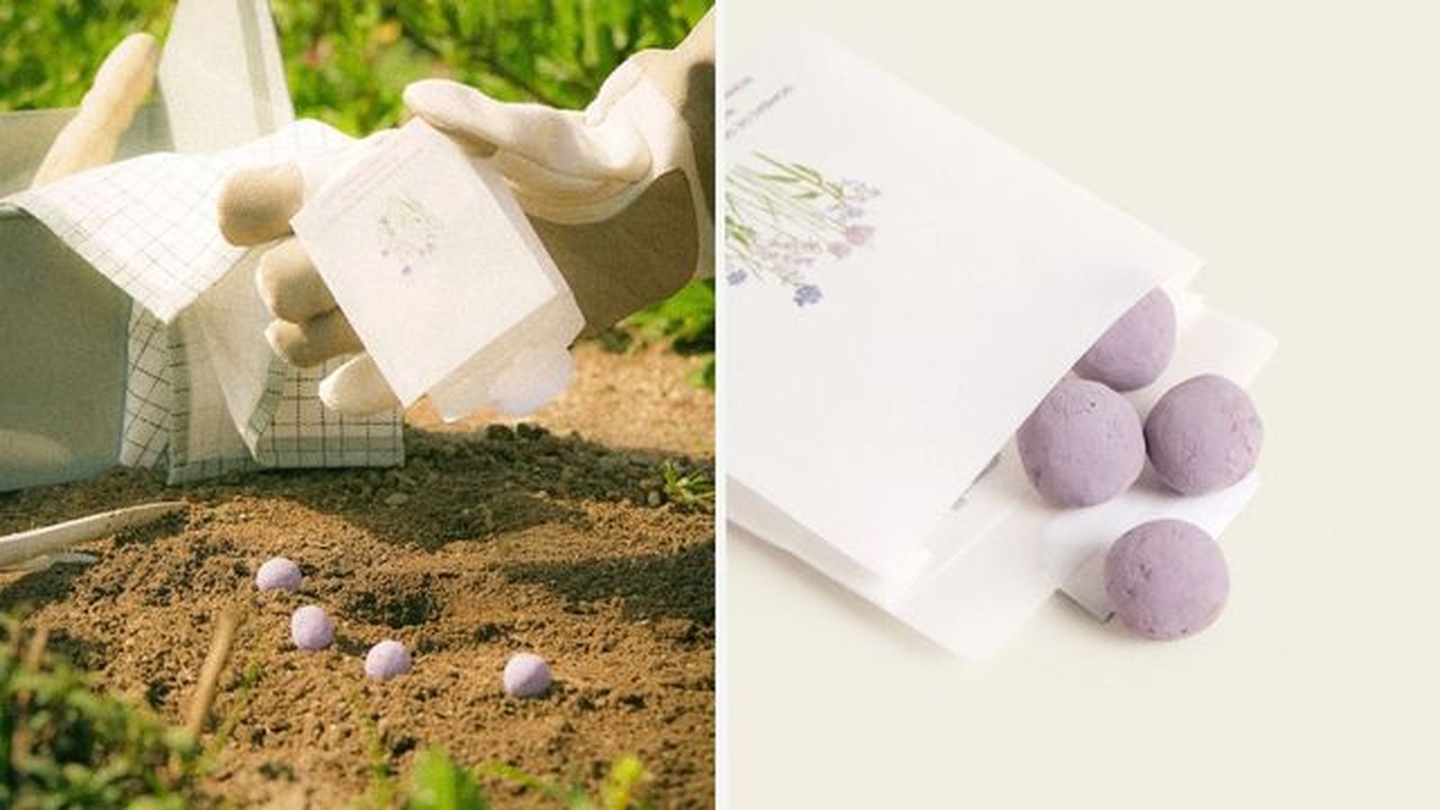 bomba de semillas de flores silvestres zara home