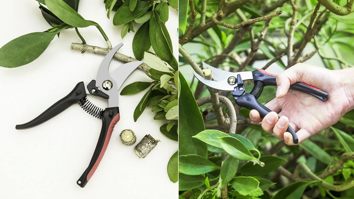 herramientas jardineria hogar tijera de podar