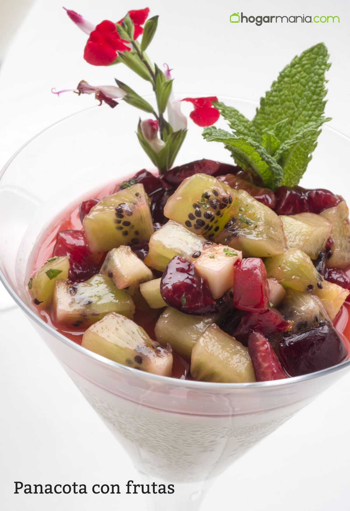 HCTU0339 Panacota con frutas vertical xl