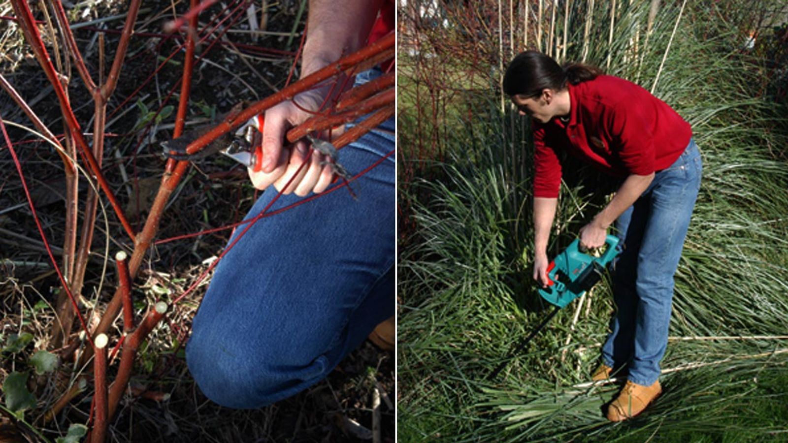 brico jardin 323 podar arbustos jardin xl