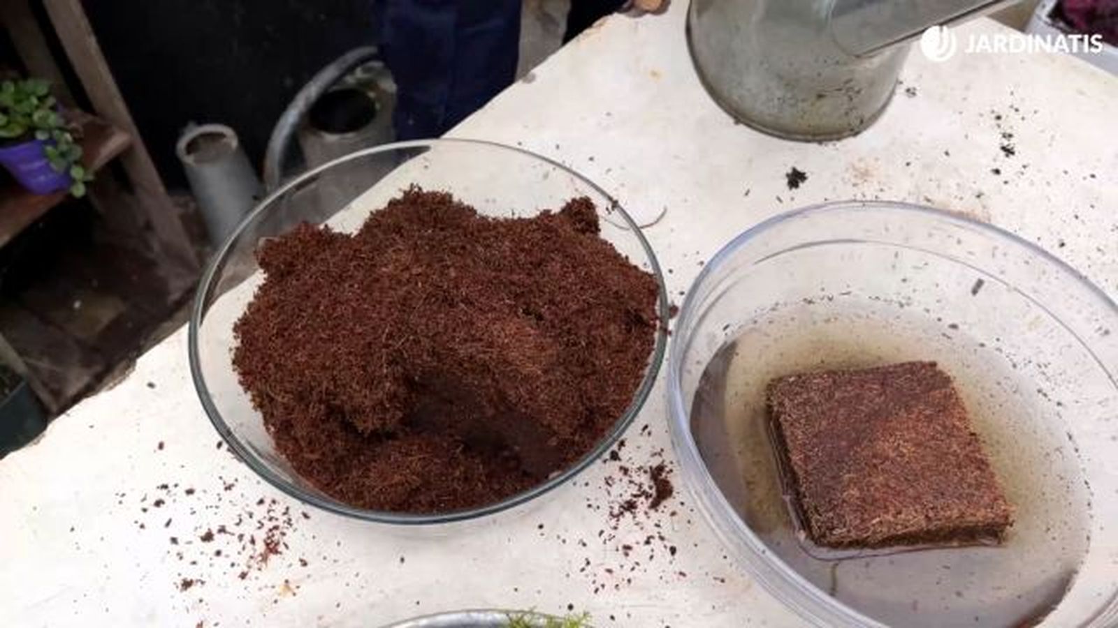 como utilizar la fibra de coco para plantas 23 39