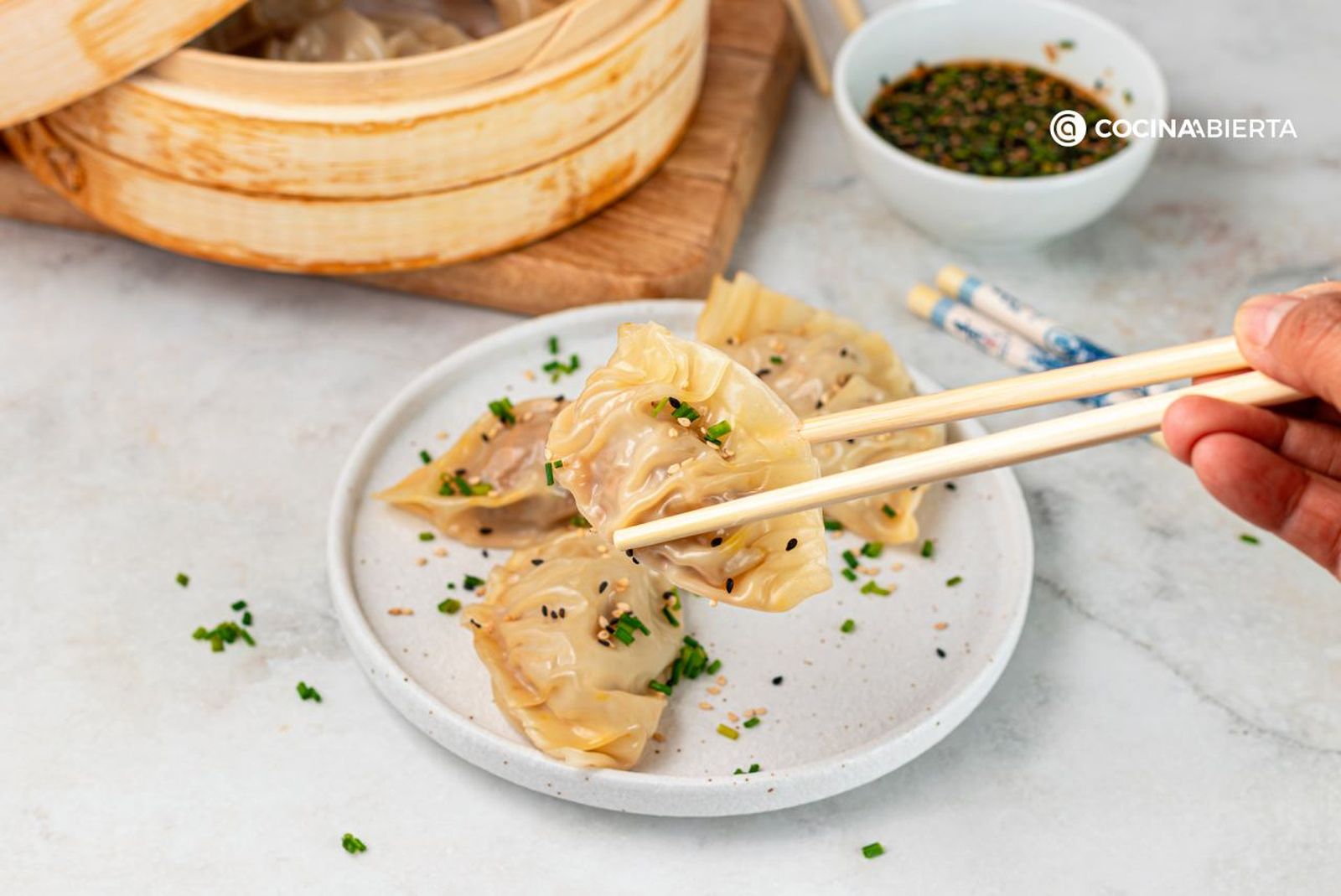 Receta fácil de las empanadillas chinas