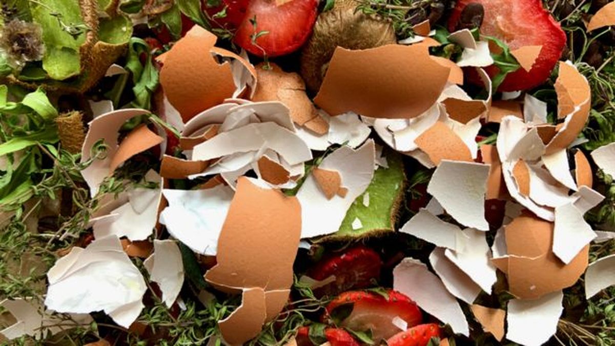 cascaras de huevo restos organicos para hacer compost
