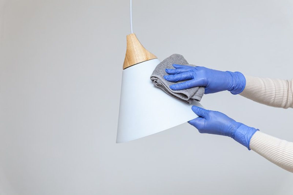 Tulipa de pergamino impecable tras su limpieza