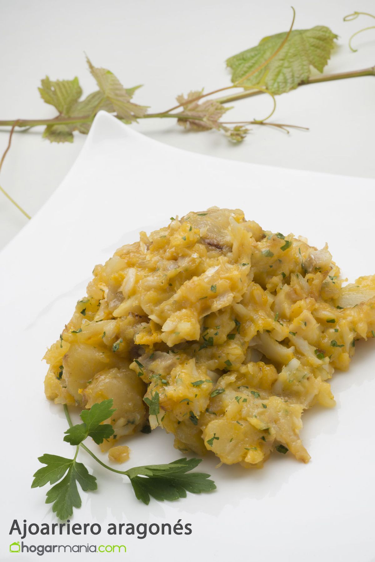 ajoarriero aragones pinterest