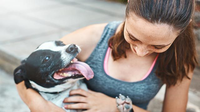 staffie con dueña