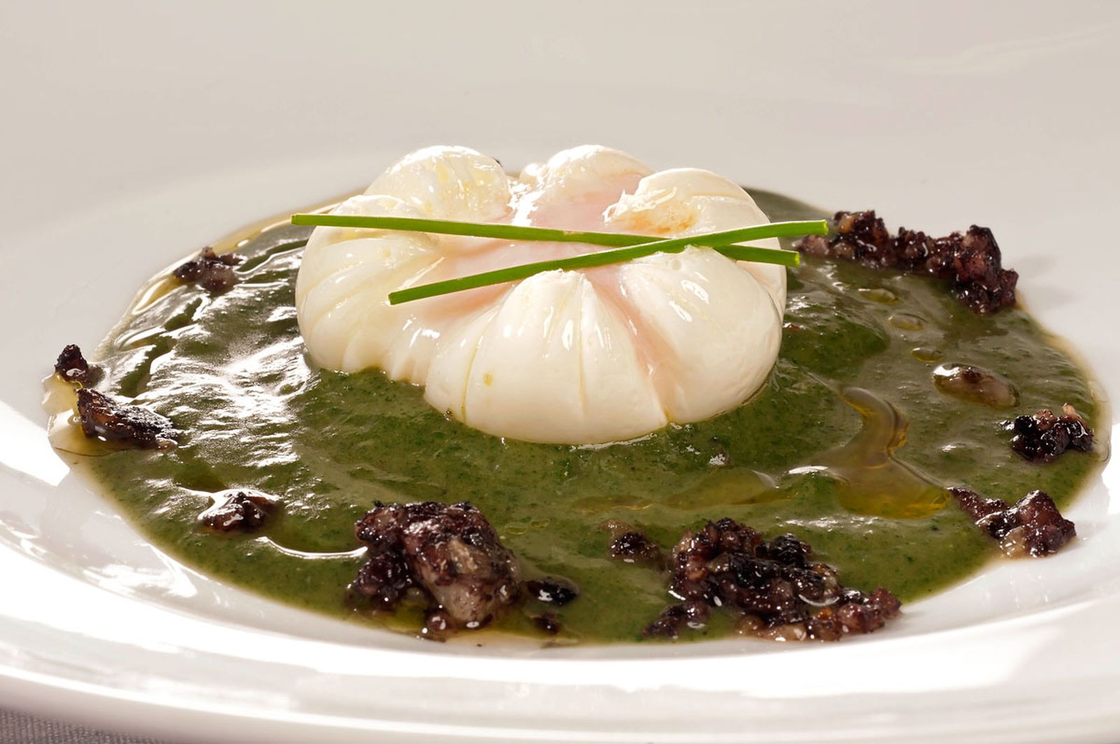 1643 Crema de ortigas con morcilla y huevo flor (827) xl