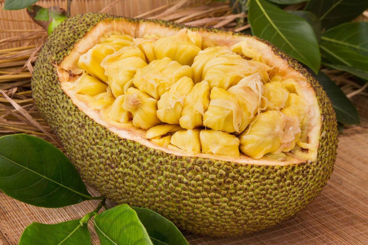 pulpa variedad fruta pan