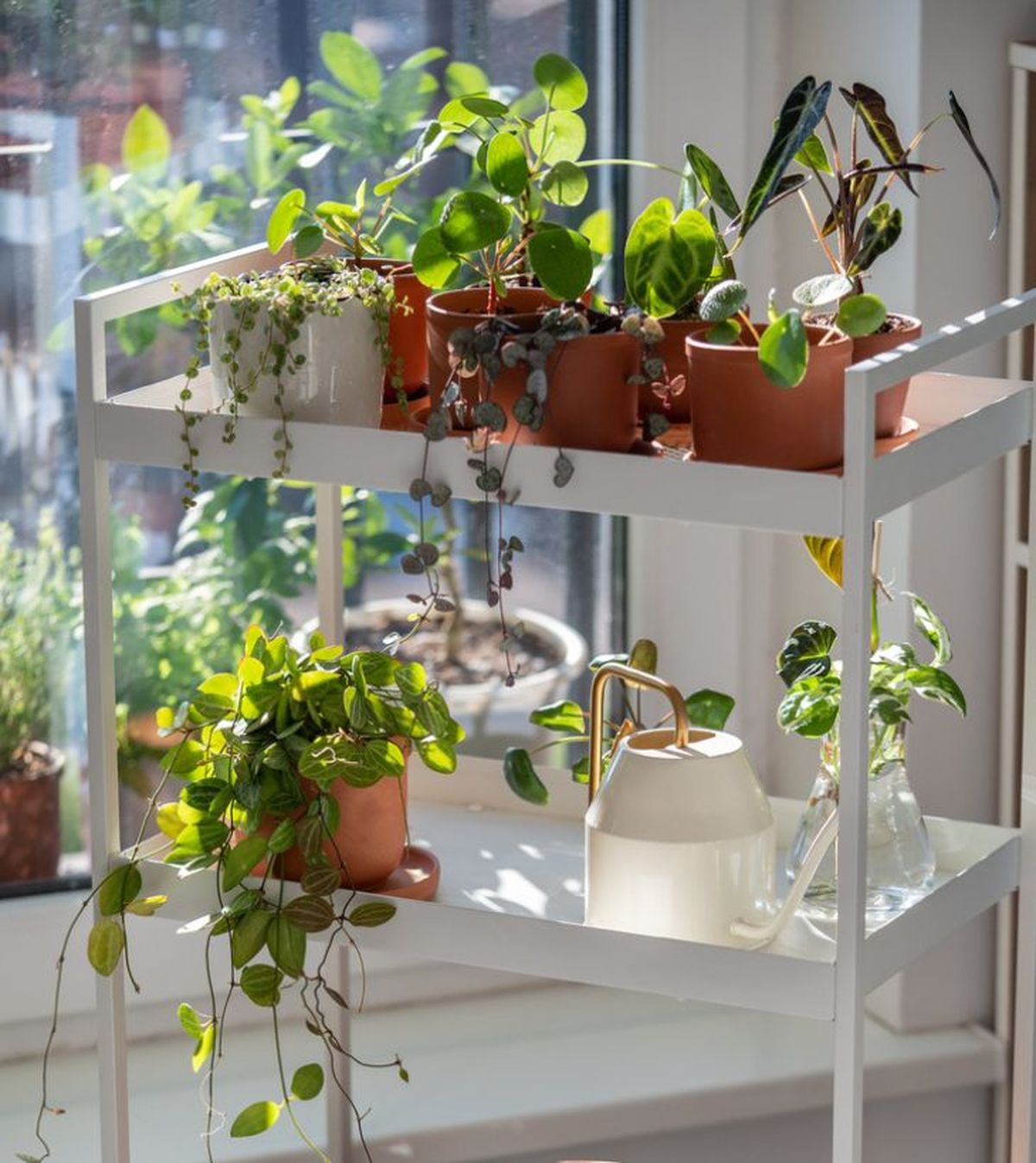 acondicionar jardin de invierno