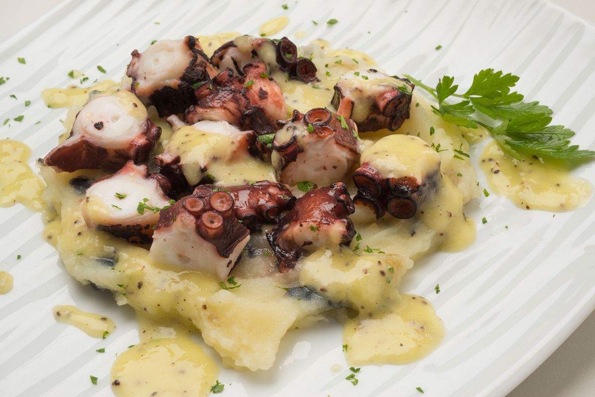 KARL60080317 Pulpo con pure de patata y vinagreta de kiwi horizontal