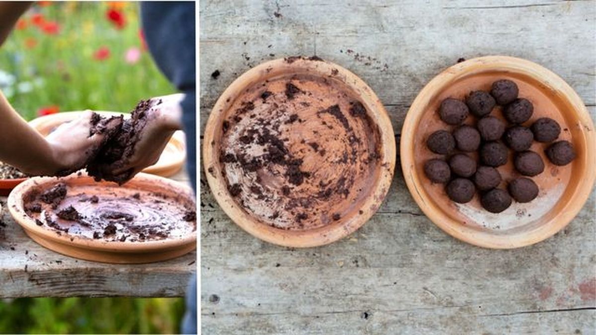 como hacer bombas de semillas