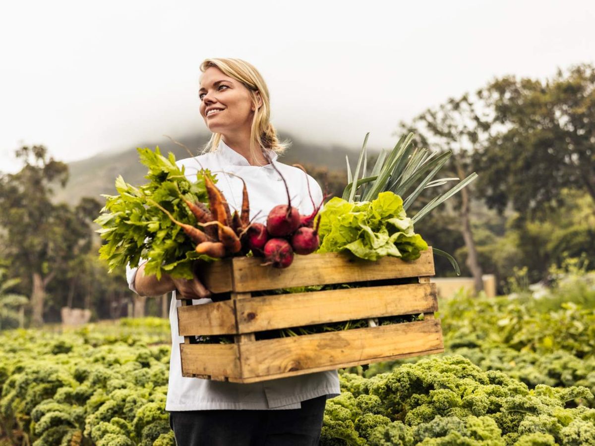 En el jardín existen muchas opciones de plantas comestibles.