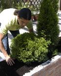 jardinera p03