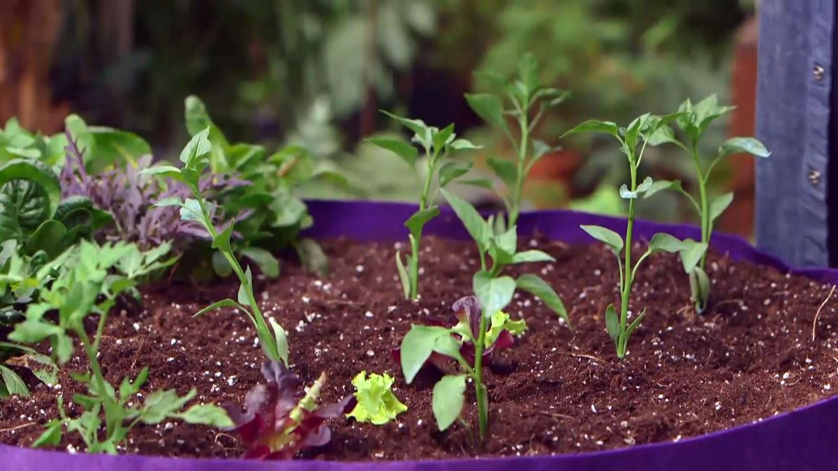 brico 950 3 huerto urbano contenedor geotextil xl