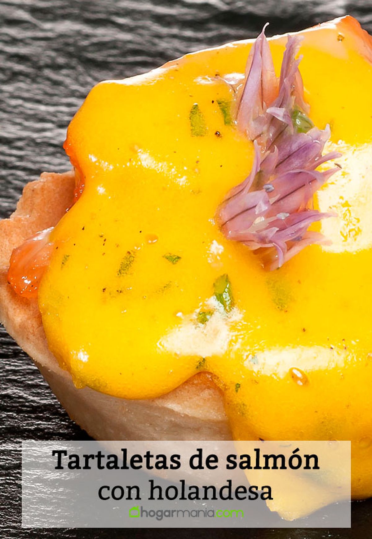 tartaletas salmon holanesa pin