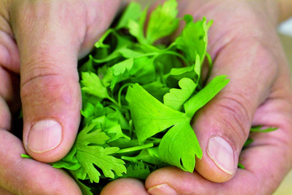 receta picar perejil paso3