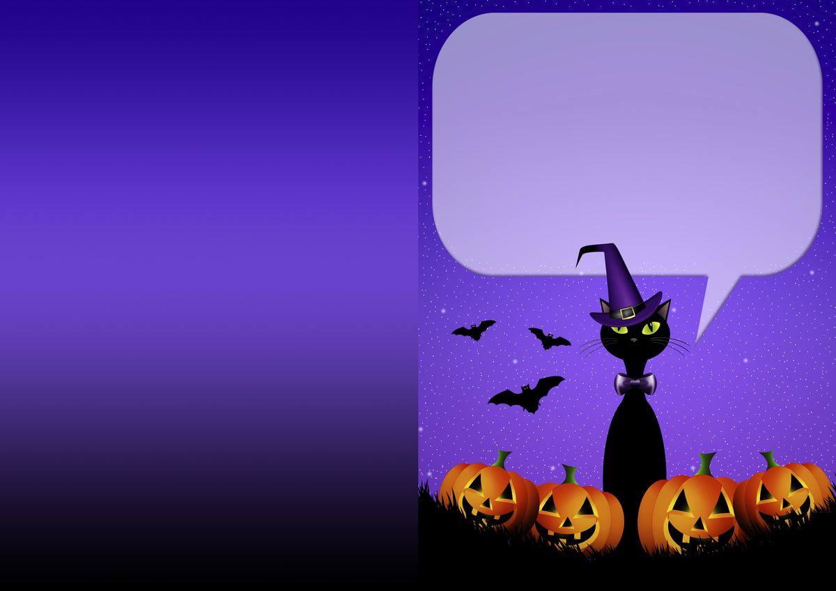 Tarjetas para una fiesta de Halloween   postal gato
