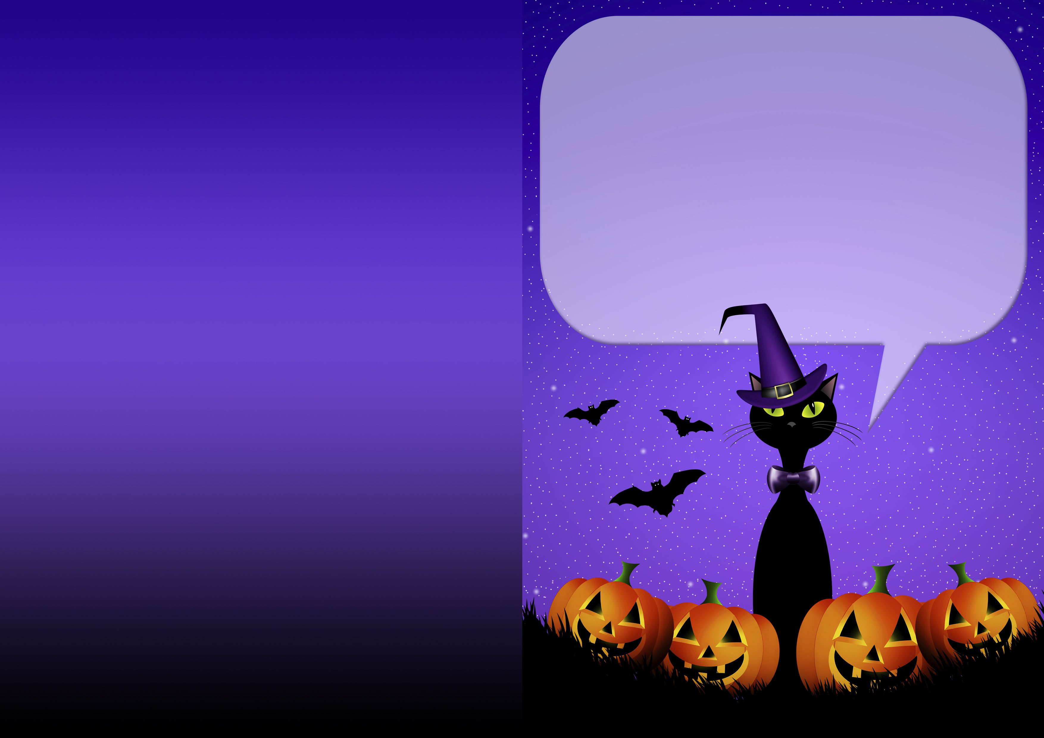 Tarjetas para una fiesta de Halloween   postal gato