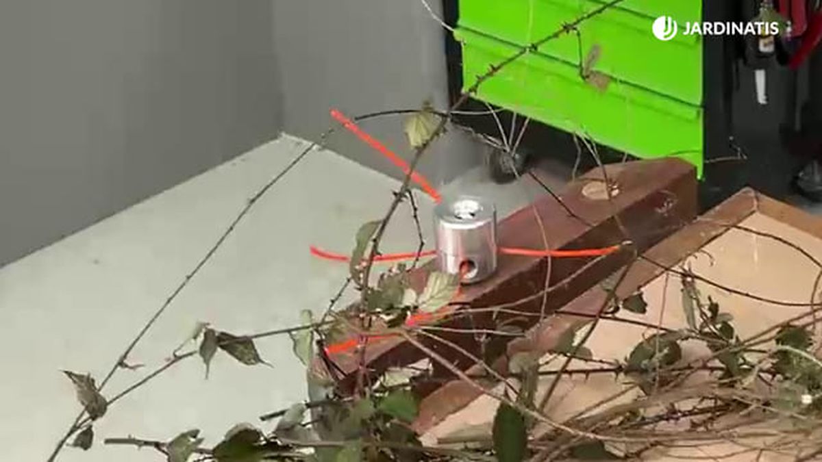 tipos discos desbrozadora gasolina 6