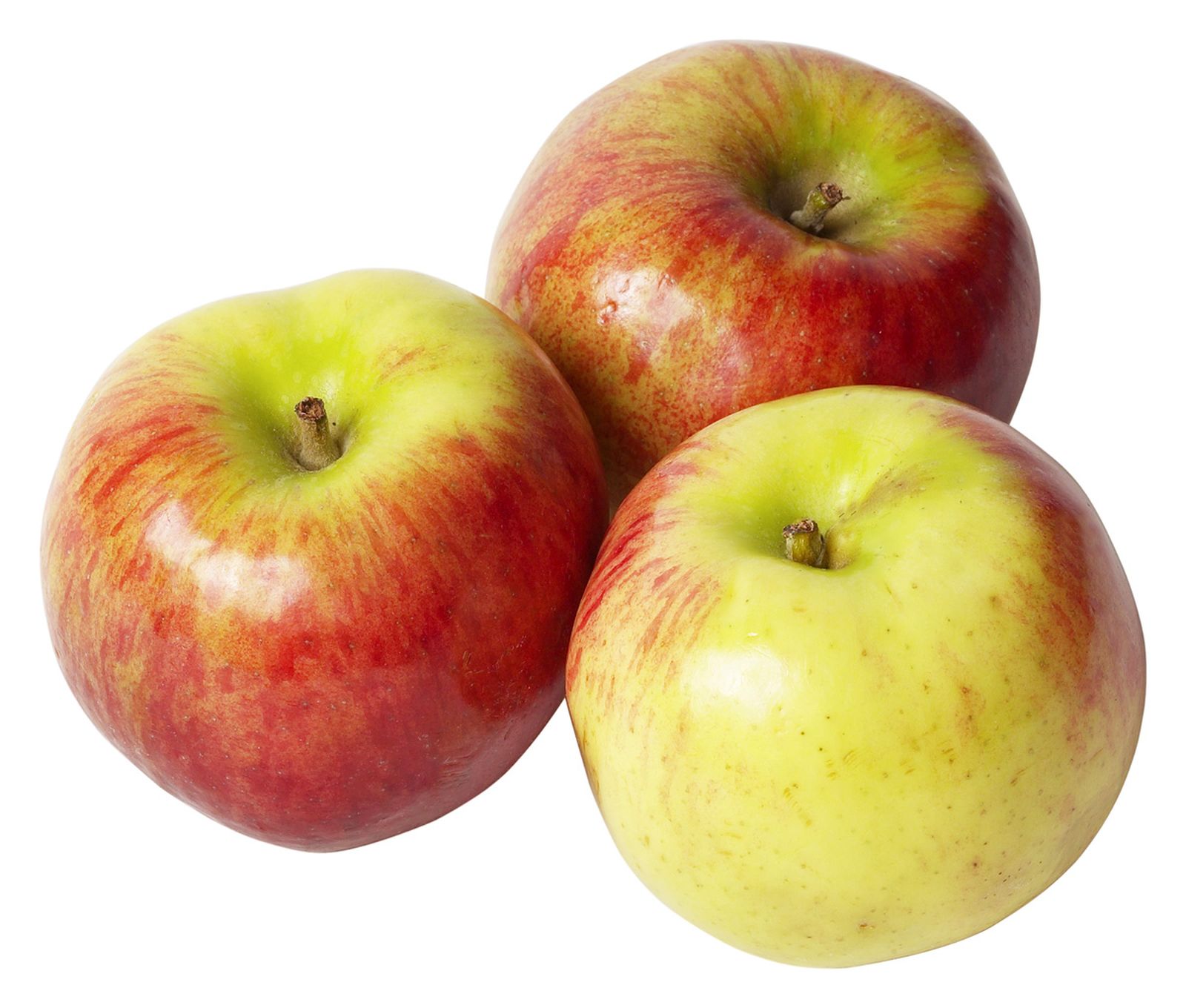 manzana mcintosh