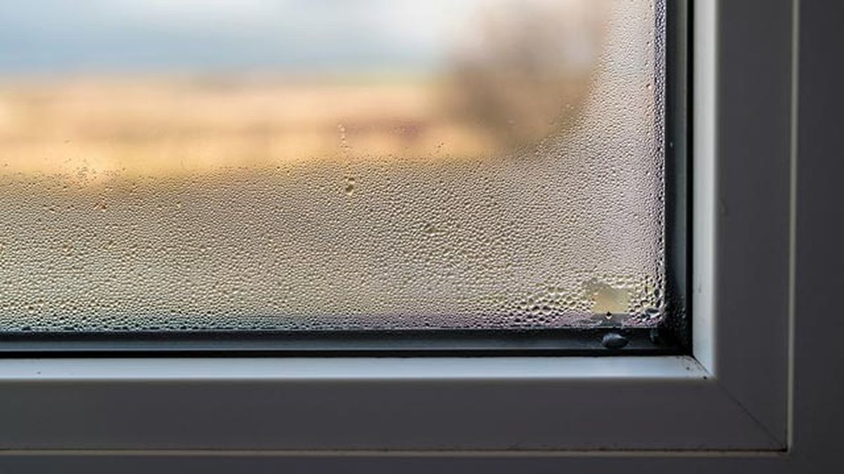 remedios caseros para combatir la humedad en casa