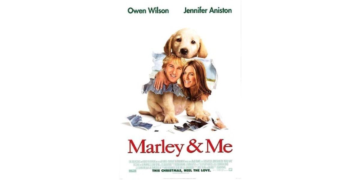 peliculas de perros una pareja de tres