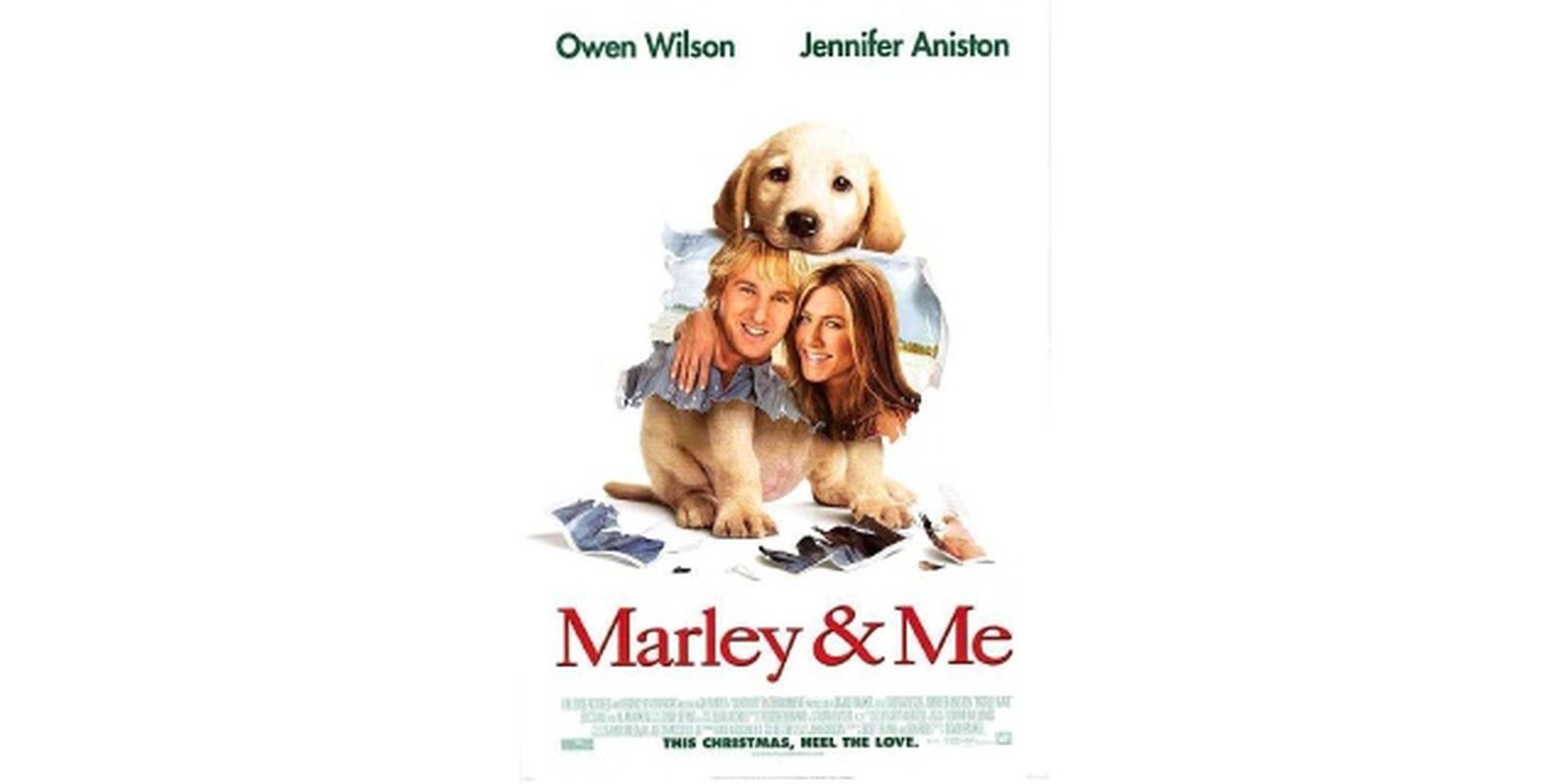 peliculas de perros una pareja de tres