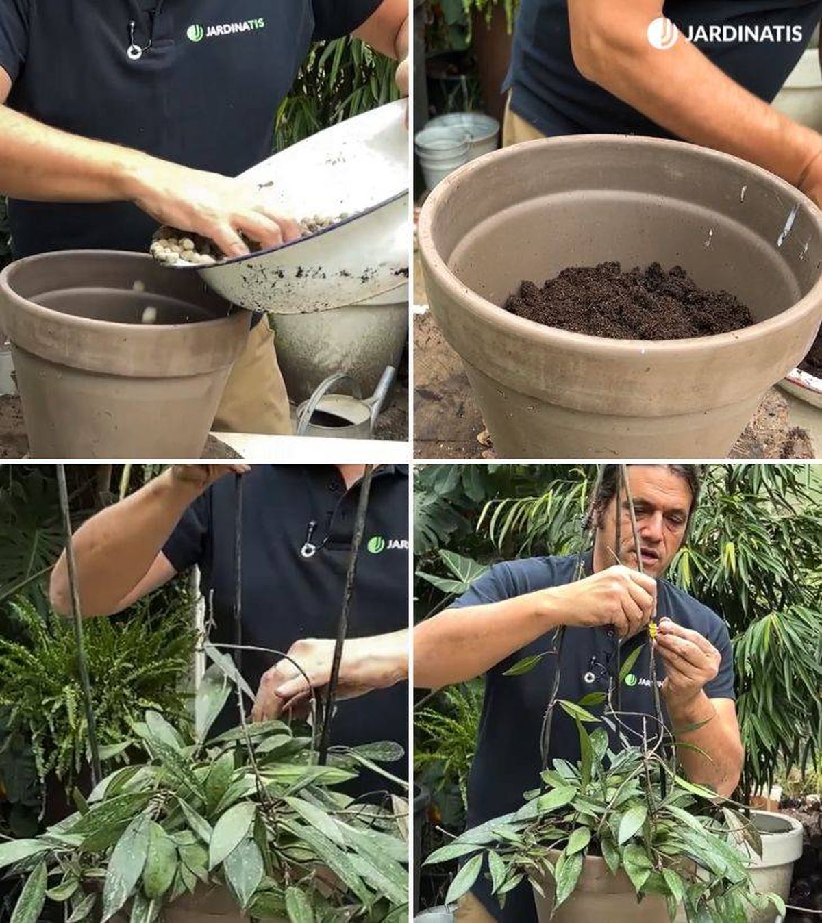 convertir flor de cera colgante en vertical jardinatis 53