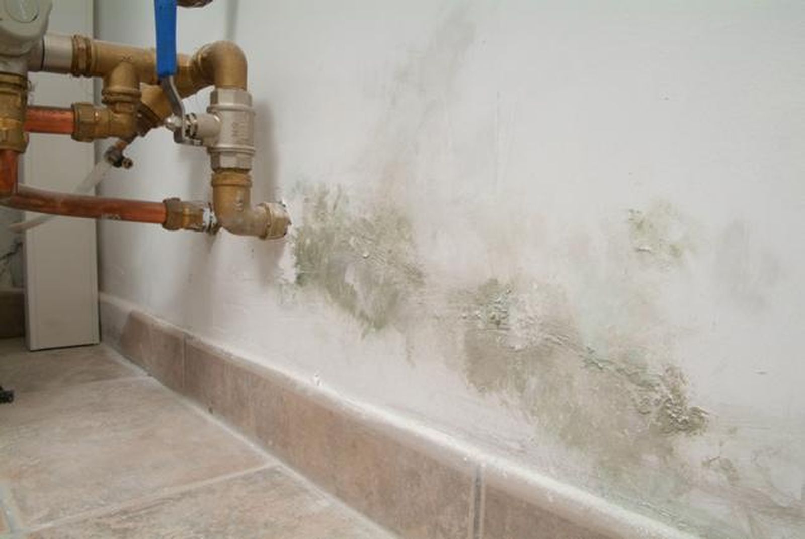 brico 0471 1 Pintado humedad sotano xl