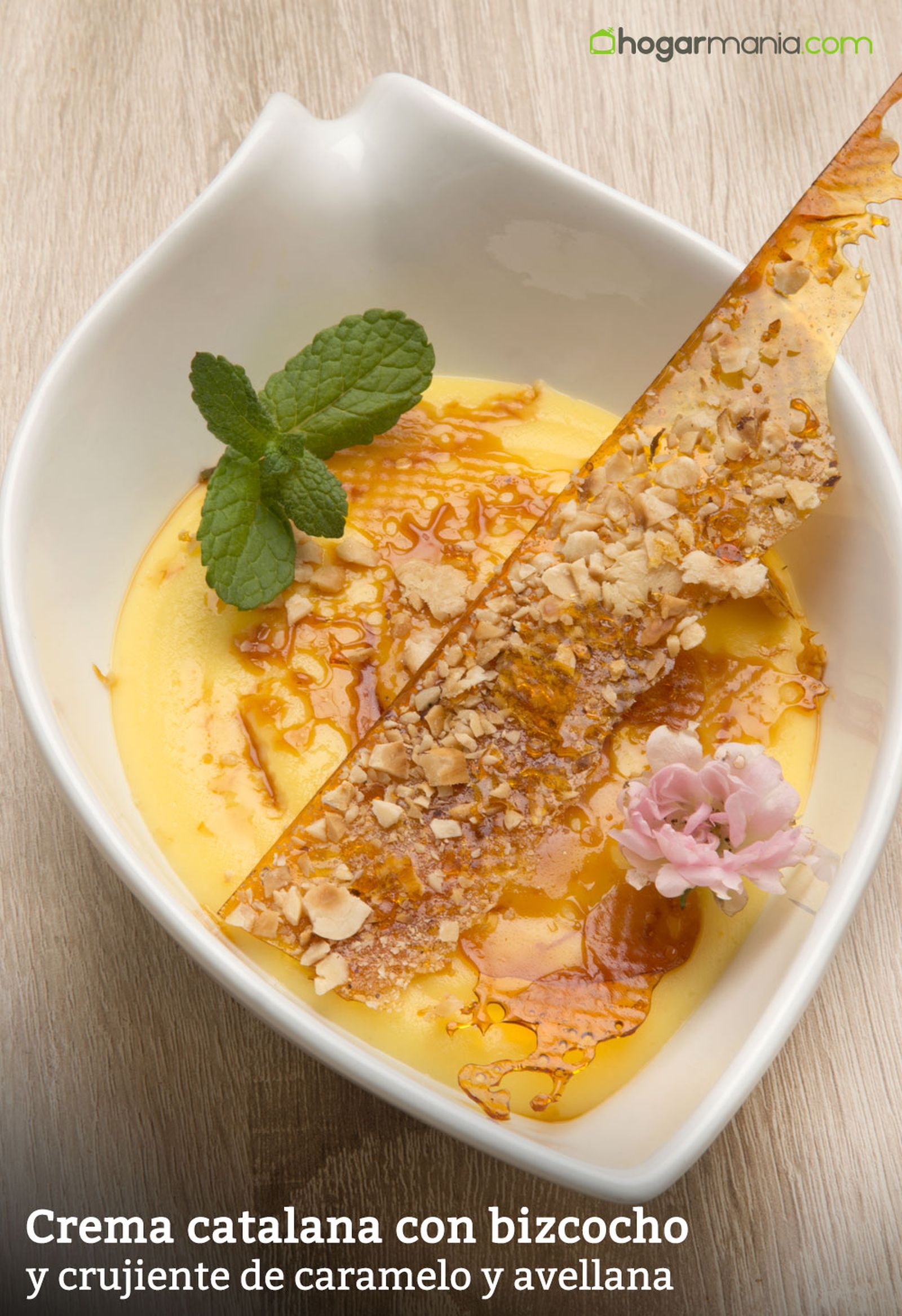 HCTU0328 Crema catalana vertical xl