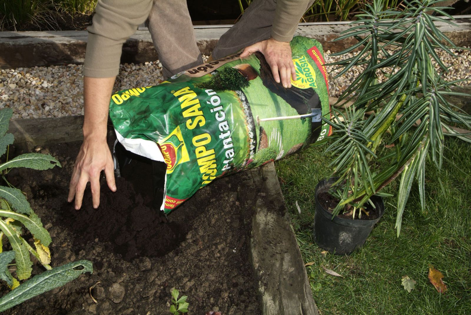 Planta para evitar topos paso 4