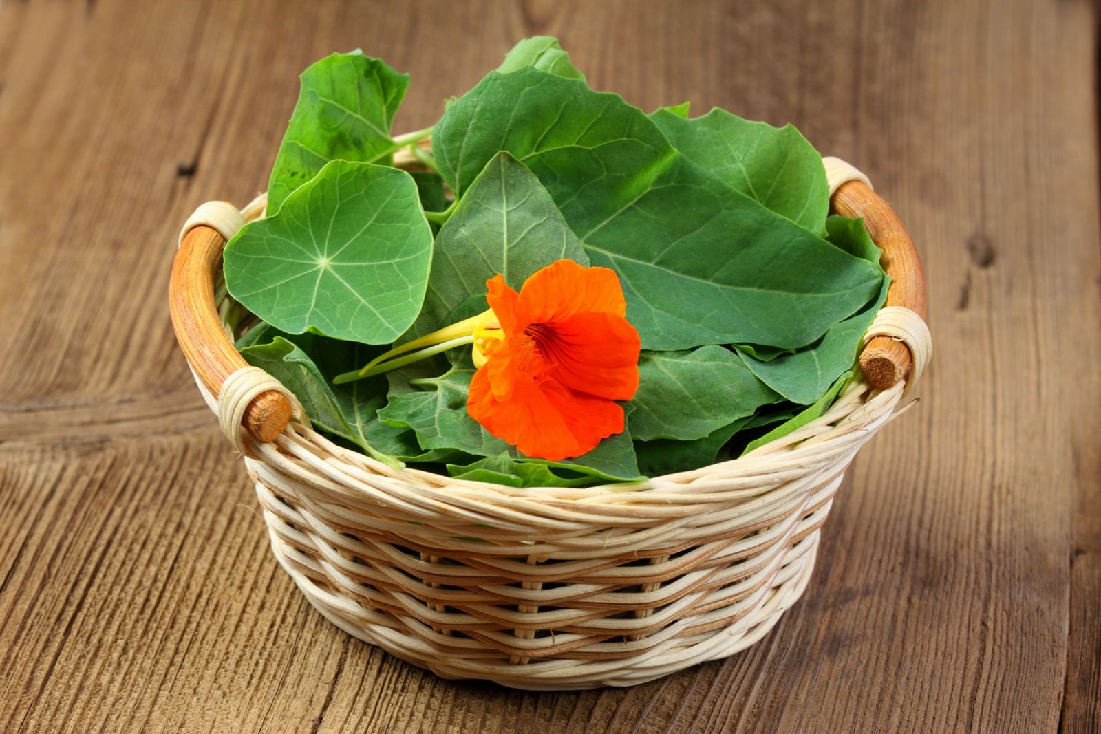 Tres flores comestibles